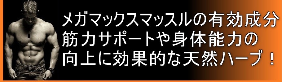 メガマックスマッスルの有効成分 筋力サポートや身体能力の向上に効果的な天然ハーブ